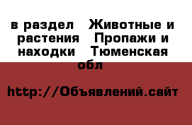  в раздел : Животные и растения » Пропажи и находки . Тюменская обл.